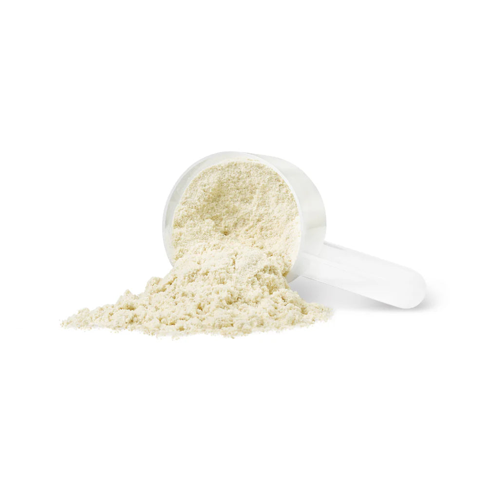 Bulk Protein Canada Scoop Protein